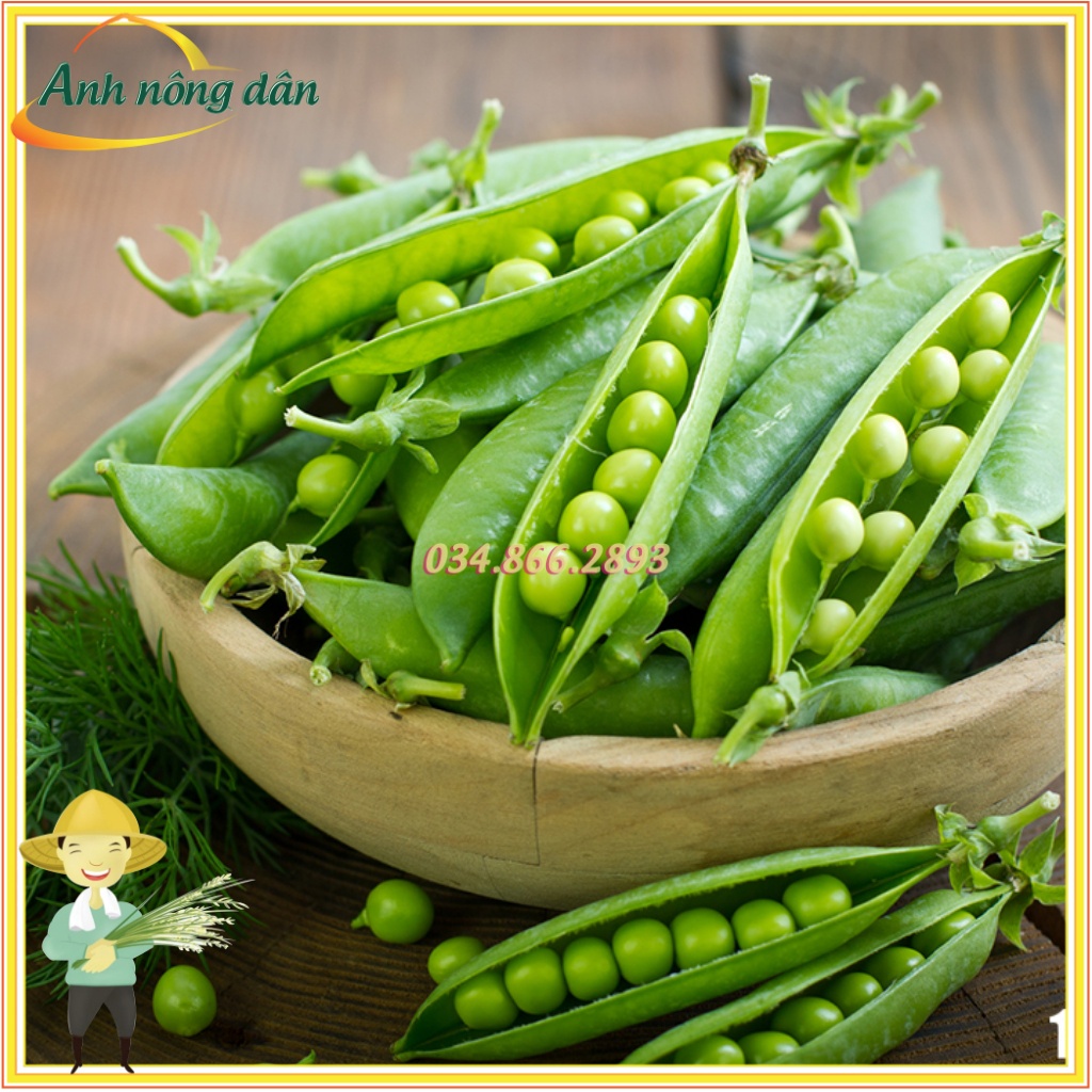 Hạt giống đậu Hà Lan siêu trái (50g) dễ trồng, dễ chăm sóc - Anh nông dân chính hiệu