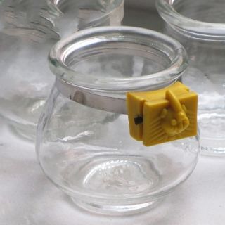 Coóng ăn thủy tinh chim cảnh
