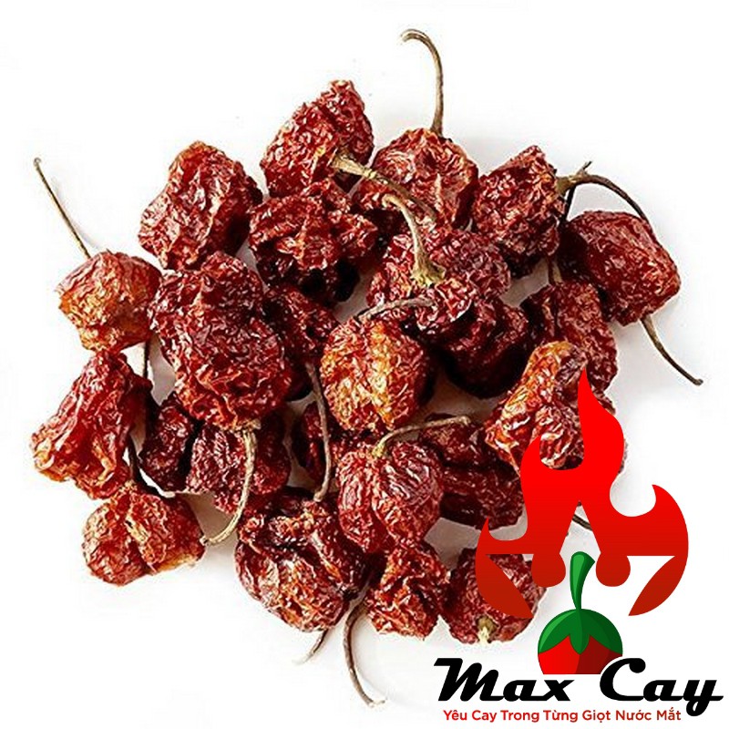 Ớt khô Carolina Reaper giống ớt cay nhất thế giới