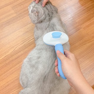 Lược chải lông + massage cho mèo
