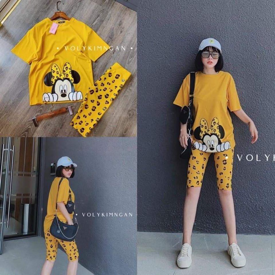 Đồ Bộ Ngố, Bao Đẹp, Chất Thun Cotton 100%, 3 size L, XL, XXL, 45kg đến 80kg vừa, 673