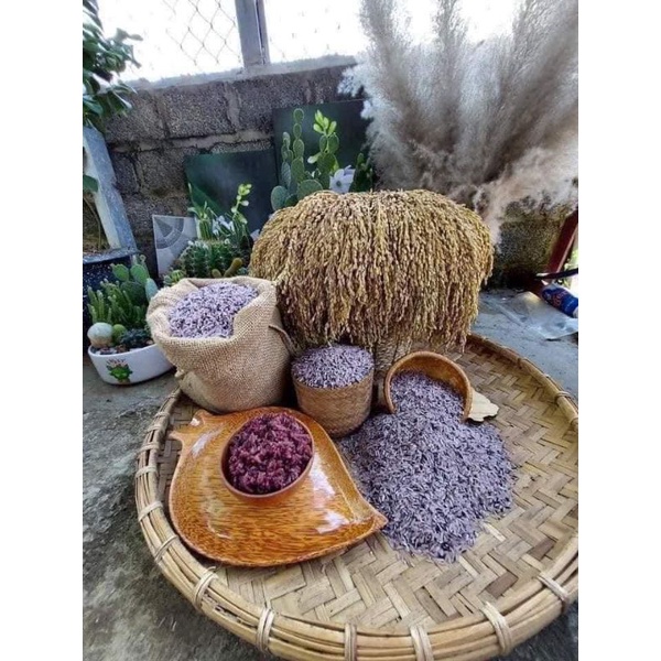 10kg gạo nương tím