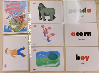 Flashcard OXFORD PHONICS WORLD 5- plastic