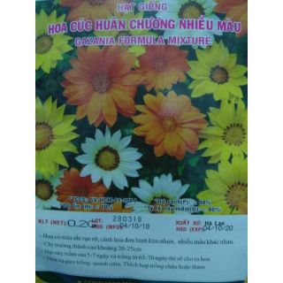 Hạt giống hoa Cúc huân chương nhiều màu Hà Lan