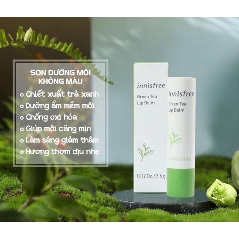 Son dưỡng Innisfree Greentea