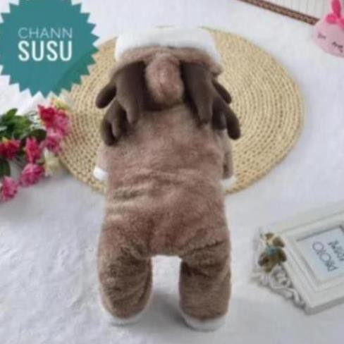 -  QUẦN ÁO CHÓ MÈO