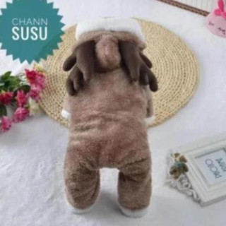 - quần áo chó mèo