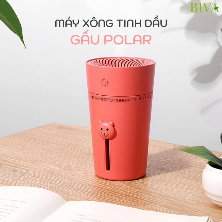 Máy xông tinh dầu gấu