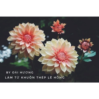 Khuôn cắt làm hoa thược dược