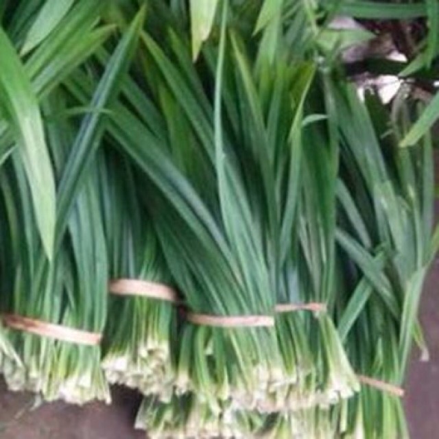 Lá nếp tươi 1kg