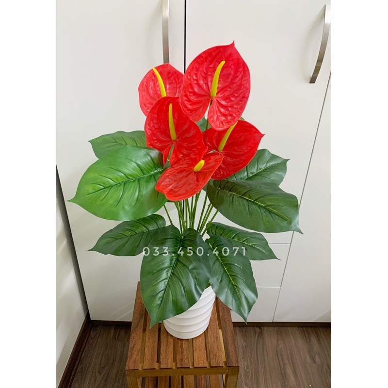 Cây giả- Cây môn đỏ 70cm