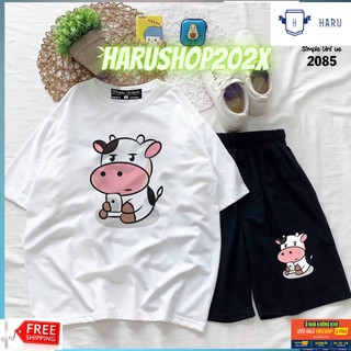 Áo thun nữ form rộng in hình dễ thương, áo thun trơn cotton 4 chiều, áo thun trắng cổ tròn tay lỡ