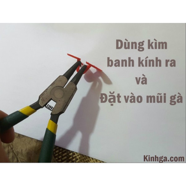Kìm Banh kính gà