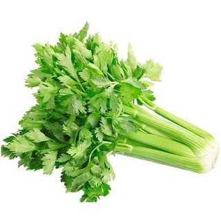Hạt giống Cần tây Pascal Mỹ khổng lồ (0.5 gram)