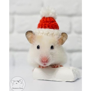 Nón len handmade nón noel cục pom cho hamster, chuột, bọ ú...