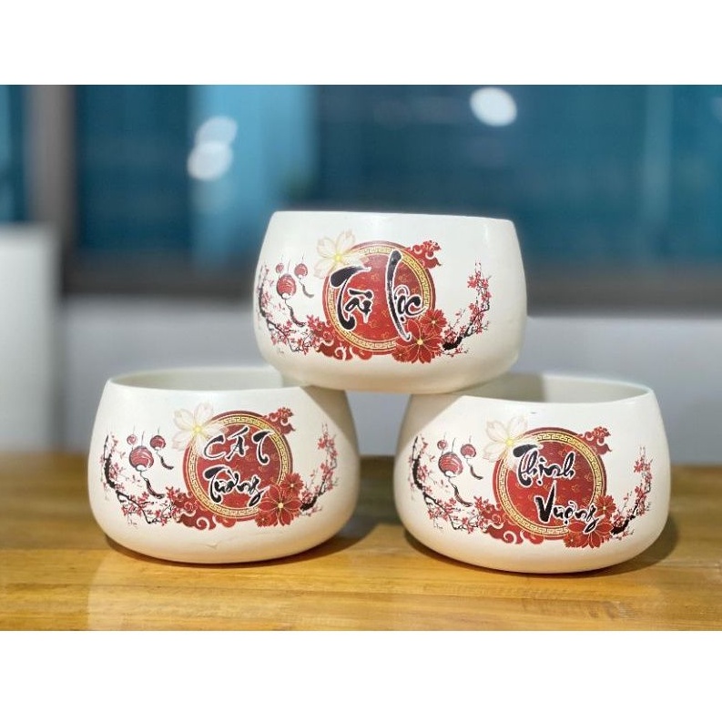 Chậu sứ tròn hình hạt dẻ in S1, có kèm đĩa, trồng cây phong thủy, cây để bàn, sen đá, sen nước