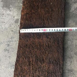 Dớn bảng trồng lan