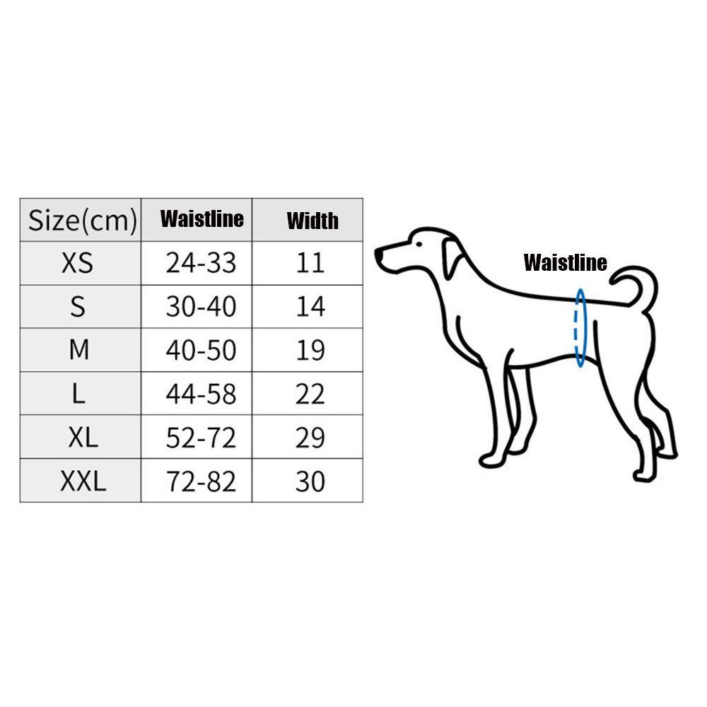 Layor1 Quần Sinh Lý Co Giãn Thiết Kế Dành Cho Cún Cưng