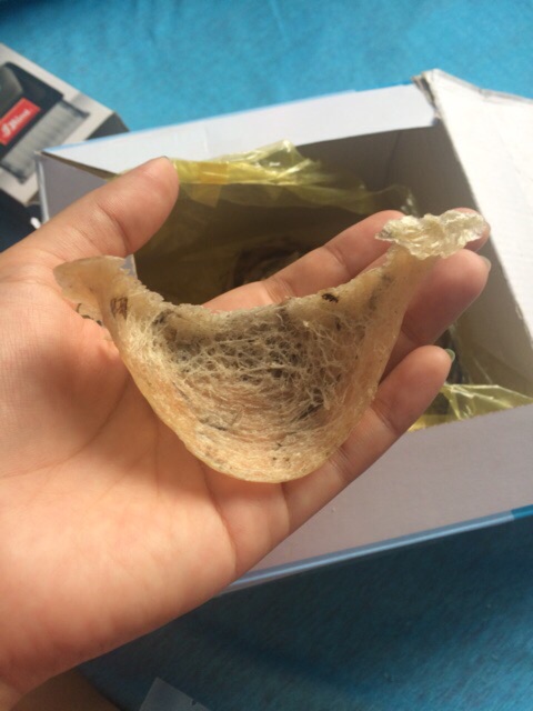 Yến sào nguyên tổ +🎁 | BigBuy360 - bigbuy360.vn