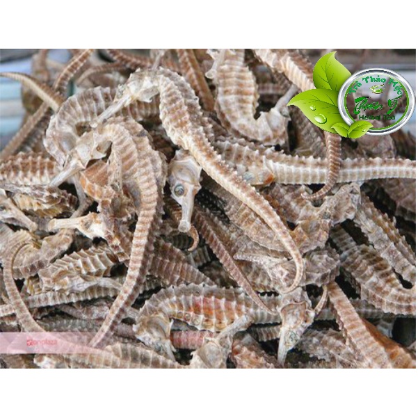 1 Hải Mã (Cá Ngựa) khô sạch ngâm rượu