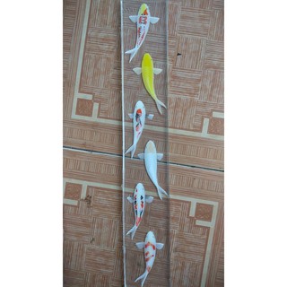 phôi cá 3d