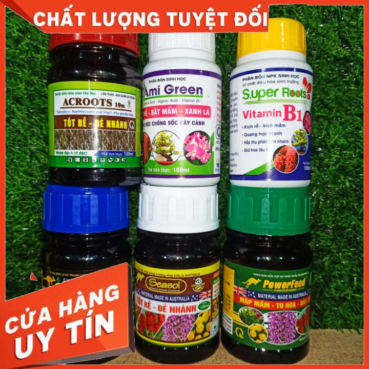 Combo 6 chai phân 🌳bón hữu cơ 🌲 Chăm sóc lan cao cấp chính hãng power feed +Sesol+Org-hum+Ami green+Super Root B1