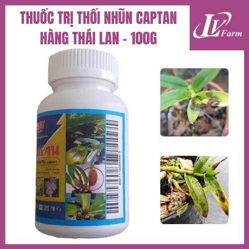 Thuốc Trị Thối Nhũn Thái Lan Captan Lọ 100g - Chuyên Dùng Cho Hoa Lan