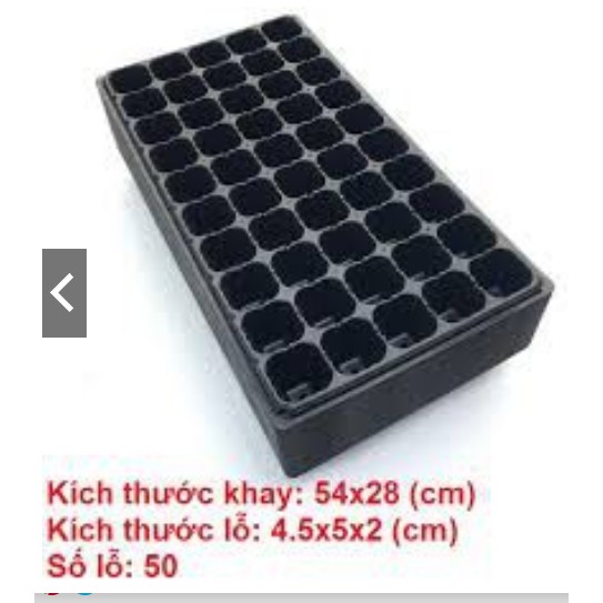 BỘ 10 KHAY ƯƠM HẠT 50 LỖ