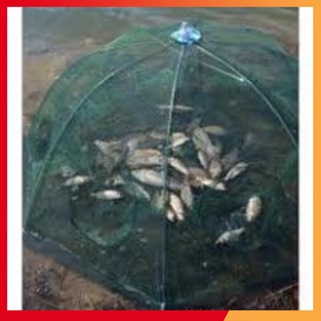 [CHẤT LƯỢNG TỐT] Lồng bát quái đánh bắt cá 8 cửa|do cau99| ( giá siêu rẻ )