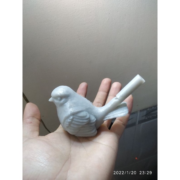 Sáo nước hình chim