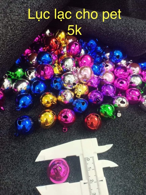 1 Lục lạc to cho pet