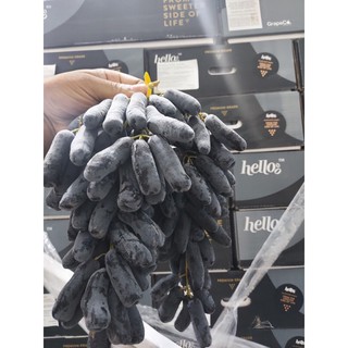 (KV HCM) Nho ngón tay mới về