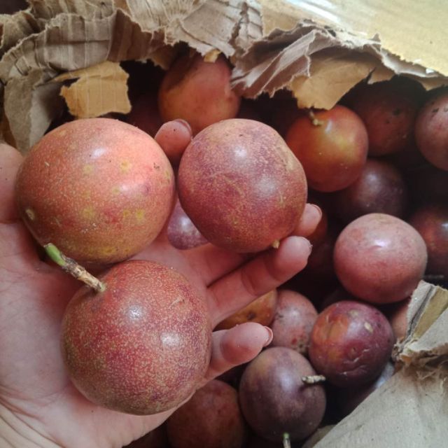 Chanh dây mộc châu 1kg