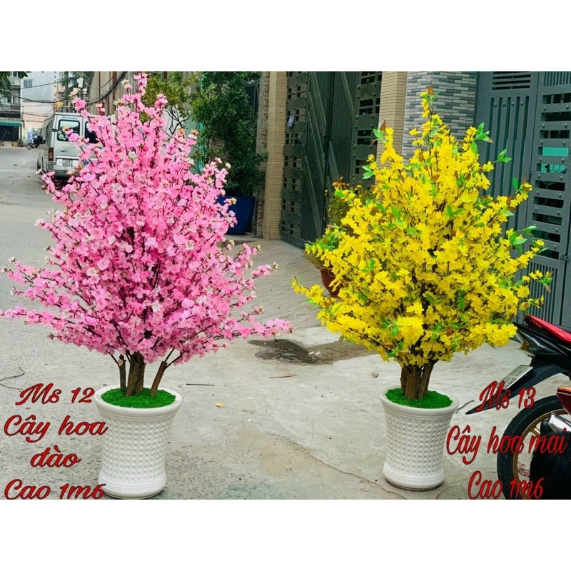 10 Cành Mai Đào - Anh Đào 1Mét Giả Vải Lụa Cao Cấp Decor Nhà Ngày Tết