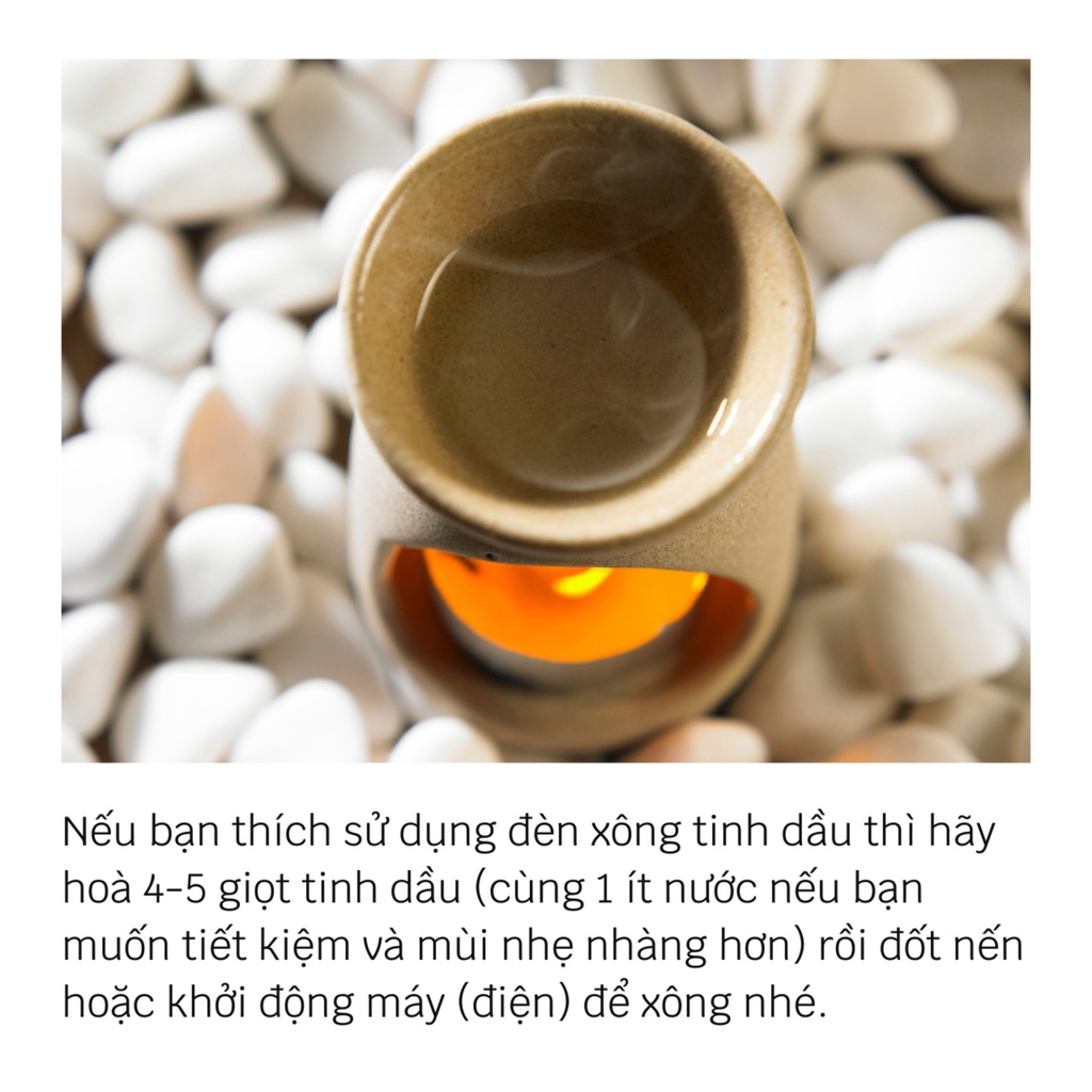 Tinh dầu Vani thơm phòng - ADORA Vanilla essential oil