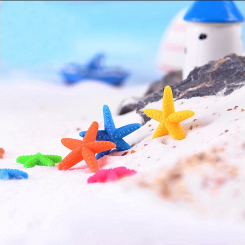 Set 10 sao biển mini nhiều màu sắc trang trí sân vườn