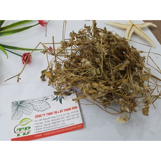 Cây Nở Ngày Đất 1KG - Hàng Công Ty