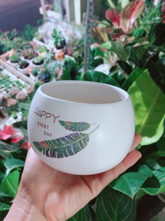 Chậu Trồng Cây