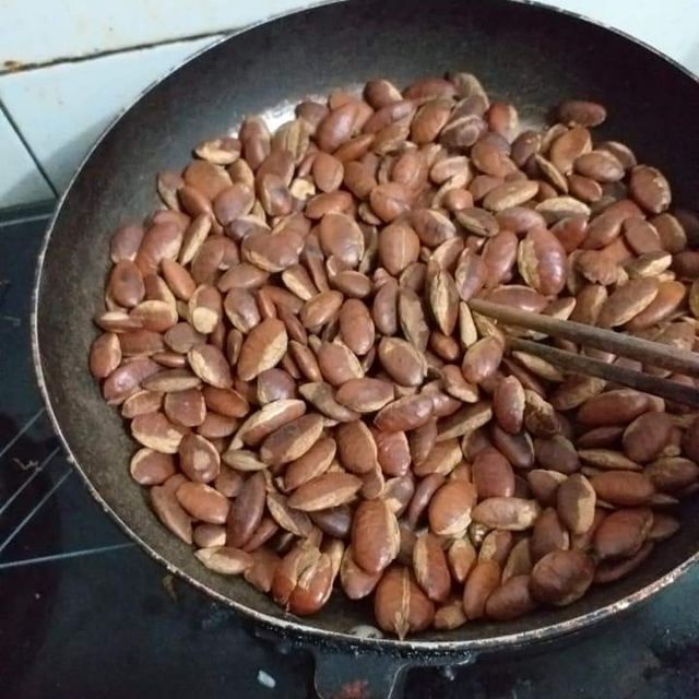 Bán sĩ 1Kg Hạt cây Kơnia đặc sản từ đại ngàn Tây Nguyên