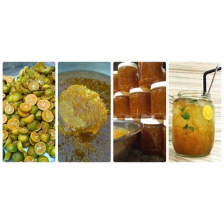 tắc xí muội nhà làm