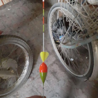 Phao lục câu ngày