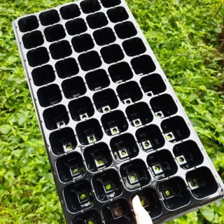 10 khay ươm cây giống 50 lỗ