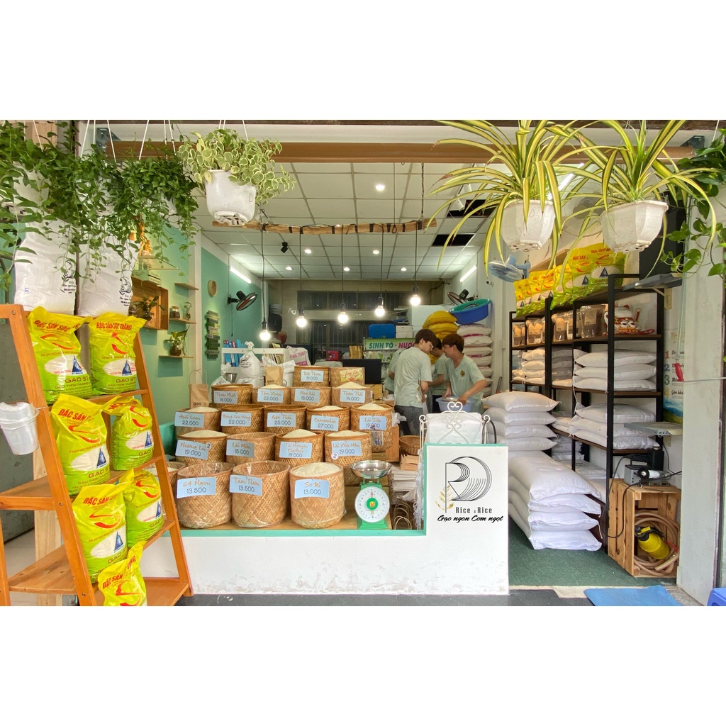 Túi 5KG Gạo Sa ri- Sơ Ri -Vị ngọt nhẹ, xốp mềm, thơm hạt - Rice&Rice