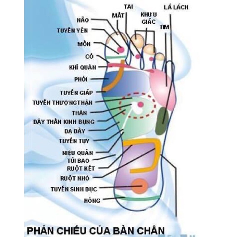 Dầu massage chân thái lan, cao dưỡng ấm chân