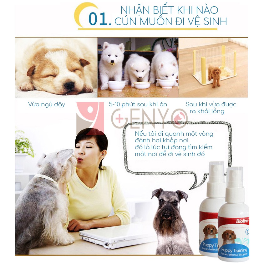 Chai xịt vệ sinh đúng chỗ cho chó - Bioline Puppy