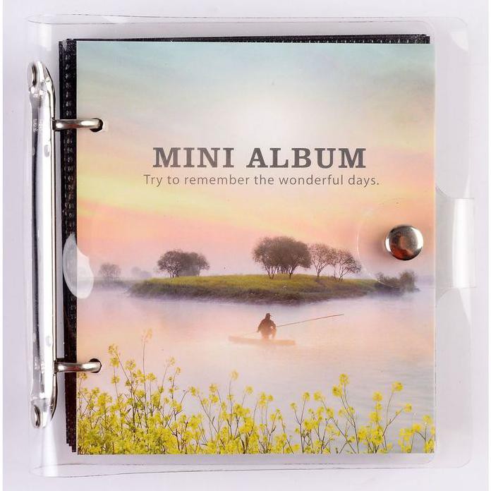 Album Ảnh 100 Hình Que Kem Mini