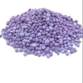 Phân bón NPK đức tím cao cấp (gói 1 kg)-Cây hoa kiểng Đồng Tháp