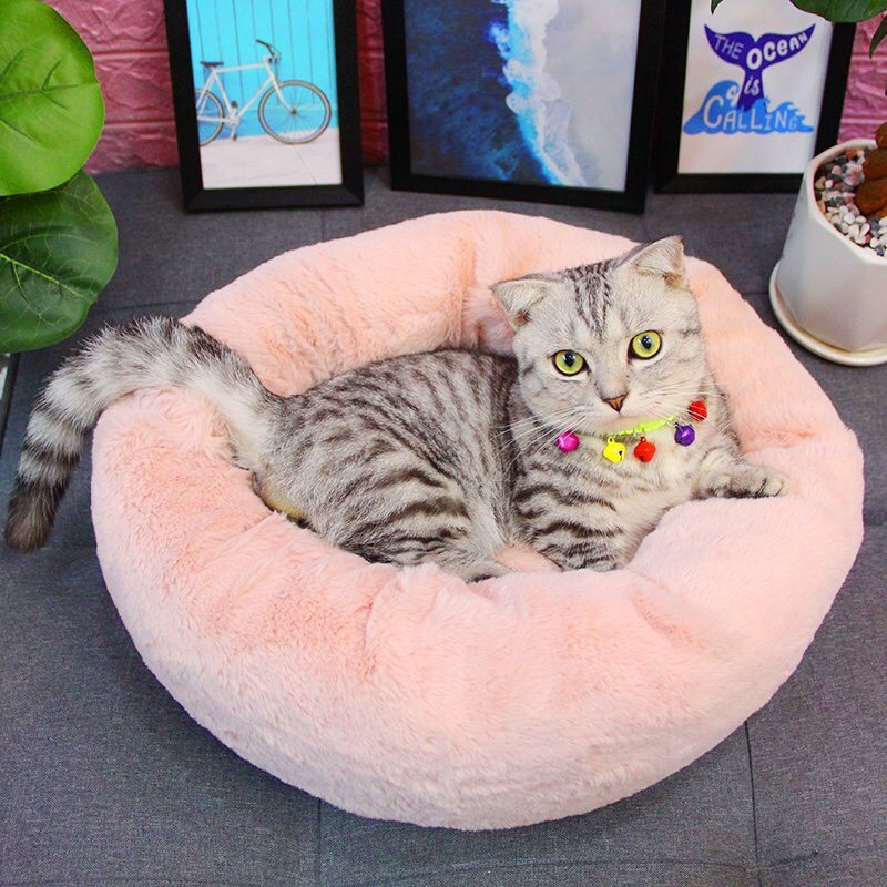 Ổ Nệm Cho Thú cưng