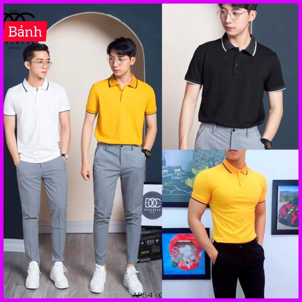 Áo thun nam có cổ tay ngắn cao cấp cổ bẻ polo ❕ 👈 *