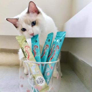 Súp thưởng Chupa Creamy cho mèo